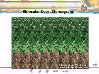 CNS Ignoring Light The Eye Seeing 
Taste/Smell 
Sound The Ear 
Touch/Pain Movement Perception Gestalt Depth cues 
Illusions 
Binocular Cues: Stereogram 
149 
 