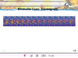 CNS Ignoring Light The Eye Seeing 
Taste/Smell 
Sound The Ear 
Touch/Pain Movement Perception Gestalt Depth cues 
Illusions 
Binocular Cues: Stereogram 
150 
 