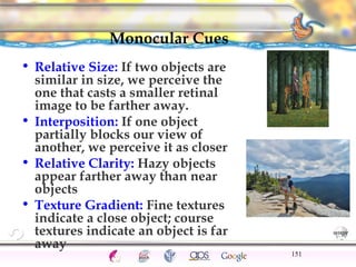 CNS Ignoring Light The Eye Seeing 
Taste/Smell 
Sound The Ear 
Touch/Pain Movement Perception Gestalt Depth cues 
Illusions 
Monocular Cues 
• Relative Size: If two objects are 
similar in size, we perceive the 
one that casts a smaller retinal 
image to be farther away. 
• Interposition: If one object 
partially blocks our view of 
another, we perceive it as closer 
• Relative Clarity: Hazy objects 
appear farther away than near 
objects 
• Texture Gradient: Fine textures 
indicate a close object; course 
textures indicate an object is far 
away 
151 
 