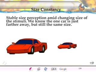 CNS Ignoring Light The Eye Seeing 
Taste/Smell 
Sound The Ear 
Touch/Pain Movement Perception Gestalt Depth cues 
Illusions 
Size Constancy 
Stable size perception amid changing size of 
the stimuli. We know the one car is just 
farther away, but still the same size. 
159 
 