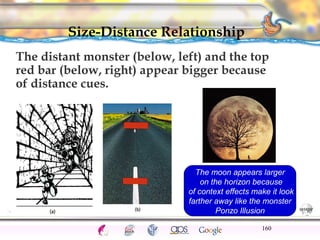 The moon appears larger 
on the horizon because 
of context effects make it look 
farther away like the monster 
CNS Ignoring Light The Eye Seeing 
Taste/Smell 
Ponzo Illusion 
Sound The Ear 
Touch/Pain Movement Perception Gestalt Depth cues 
Illusions 
Size-Distance Relationship 
The distant monster (below, left) and the top 
red bar (below, right) appear bigger because 
of distance cues. 
160 
 