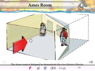 The Ames room is designed to demonstrate the size-distance illusion. 
CNS Ignoring Light The Eye Seeing 
Taste/Smell 
Sound The Ear 
Touch/Pain Movement Perception Gestalt Depth cues 
Illusions 
Ames Room 
162 
 