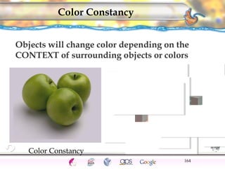 CNS Ignoring Light The Eye Seeing 
Taste/Smell 
Sound The Ear 
Touch/Pain Movement Perception Gestalt Depth cues 
Illusions 
Color Constancy 
Objects will change color depending on the 
CONTEXT of surrounding objects or colors 
164 
Color Constancy 
 