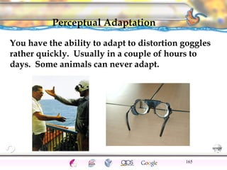 CNS Ignoring Light The Eye Seeing 
Taste/Smell 
Sound The Ear 
Touch/Pain Movement Perception Gestalt Depth cues 
Illusions 
Perceptual Adaptation 
You have the ability to adapt to distortion goggles 
rather quickly. Usually in a couple of hours to 
days. Some animals can never adapt. 
165 
 