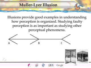 Illusions provide good examples in understanding 
how perception is organized. Studying faulty 
perception is as important as studying other 
CNS Ignoring Light The Eye Seeing 
Taste/Smell 
Sound The Ear 
Touch/Pain Movement Perception Gestalt Depth cues 
Illusions 
Muller-Lyer Illusion 
167 
perceptual phenomena. 
 