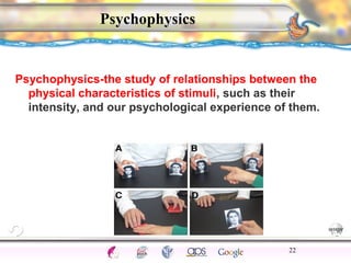 CNS Ignoring Light The Eye Seeing 
Taste/Smell 
Sound The Ear 
Touch/Pain Movement Perception Gestalt Depth cues 
Illusions 
Psychophysics 
Psychophysics-the study of relationships between the 
physical characteristics of stimuli, such as their 
intensity, and our psychological experience of them. 
22 
 