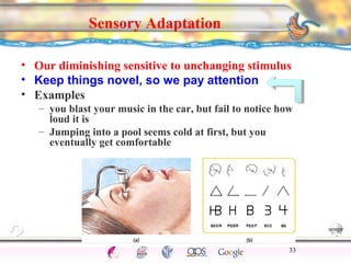 CNS Ignoring Light The Eye Seeing 
Taste/Smell 
Sound The Ear 
Touch/Pain Movement Perception Gestalt Depth cues 
Illusions 
Sensory Adaptation 
• Our diminishing sensitive to unchanging stimulus 
• Keep things novel, so we pay attention 
• Examples 
– you blast your music in the car, but fail to notice how 
loud it is 
– Jumping into a pool seems cold at first, but you 
eventually get comfortable 
33 
 
