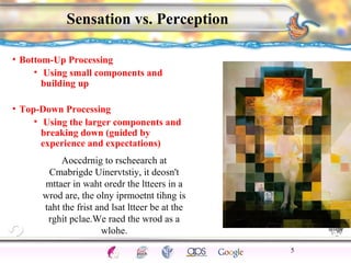 CNS Ignoring Light The Eye Seeing 
Taste/Smell 
Sound The Ear 
Touch/Pain Movement Perception Gestalt Depth cues 
Illusions 
Sensation vs. Perception 
• Bottom-Up Processing 
• Using small components and 
building up 
• Top-Down Processing 
• Using the larger components and 
breaking down (guided by 
experience and expectations) 
5 
Aoccdrnig to rscheearch at 
Cmabrigde Uinervtstiy, it deosn't 
mttaer in waht oredr the ltteers in a 
wrod are, the olny iprmoetnt tihng is 
taht the frist and lsat ltteer be at the 
rghit pclae.We raed the wrod as a 
wlohe. 
 