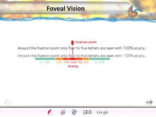 CNS Ignoring Light The Eye Seeing 
Taste/Smell 
Sound The Ear 
Touch/Pain Movement Perception Gestalt Depth cues 
Illusions 
Foveal Vision 
51 
 