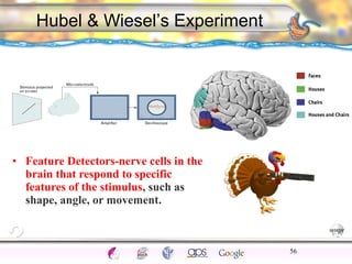 CNS Ignoring Light The Eye Seeing 
Taste/Smell 
Sound The Ear 
Touch/Pain Movement Perception Gestalt Depth cues 
Illusions 
• Feature Detectors-nerve cells in the 
brain that respond to specific 
features of the stimulus, such as 
shape, angle, or movement. 
56 
Hubel & Wiesel’s Experiment 
 