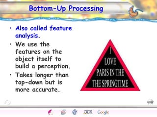 CNS Ignoring Light The Eye Seeing 
Taste/Smell 
Sound The Ear 
Touch/Pain Movement Perception Gestalt Depth cues 
Illusions 
Bottom-Up Processing 
• Also called feature 
analysis. 
• We use the 
features on the 
object itself to 
build a perception. 
• Takes longer than 
top-down but is 
more accurate. 
 