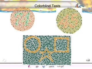 CNS Ignoring Light The Eye Seeing 
Taste/Smell 
Sound The Ear 
Touch/Pain Movement Perception Gestalt Depth cues 
Illusions 
Colorblind Tests 
 