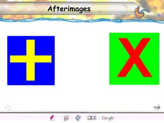 CNS Ignoring Light The Eye Seeing 
Taste/Smell 
Sound The Ear 
Touch/Pain Movement Perception Gestalt Depth cues 
Illusions 
Afterimages 
 