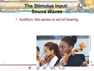 CNS Ignoring Light The Eye Seeing 
Taste/Smell 
Sound The Ear 
Touch/Pain Movement Perception Gestalt Depth cues 
Illusions 
The Stimulus Input: 
Sound Waves 
• Audition- the sense or act of hearing 
 
