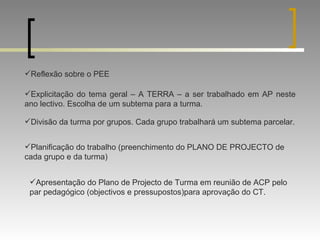 Reflexão sobre o PEE Explicitação do tema geral – A TERRA – a ser trabalhado em AP neste ano lectivo. Escolha de um subtema para a turma. Divisão da turma por grupos. Cada grupo trabalhará um subtema parcelar. Planificação do trabalho (preenchimento do PLANO DE PROJECTO de cada grupo e da turma) Apresentação do Plano de Projecto de Turma em reunião de ACP pelo par pedagógico (objectivos e pressupostos)para aprovação do CT. 