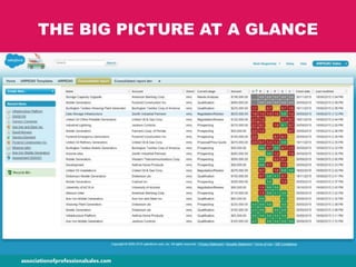 THE BIG PICTURE AT A GLANCE
 