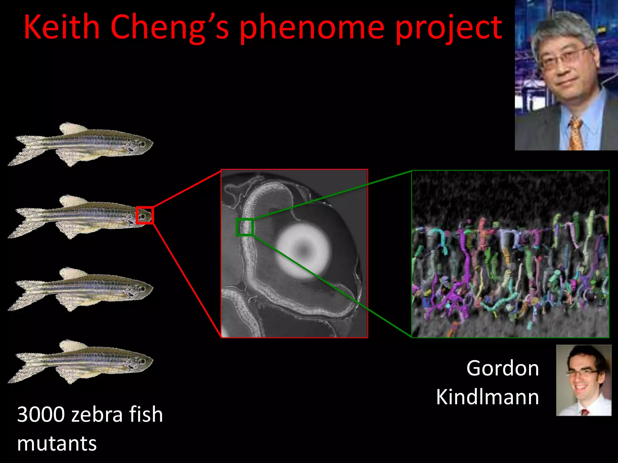 Time-consuming tasks in scienceRun experimentsCollect dataManage dataMove dataAcquire computersAnalyze dataRun simulationsCompare experiment with simulationSearch the literatureCommunicate with colleagues