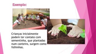 Crianças inicialmente
podem ter contato com
sementinha, que plantadas
num canteiro, surgem como
folhinhas.
 