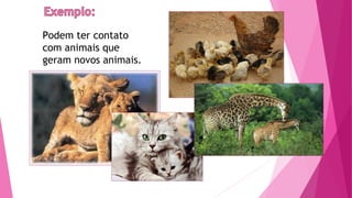 Podem ter contato
com animais que
geram novos animais.
 