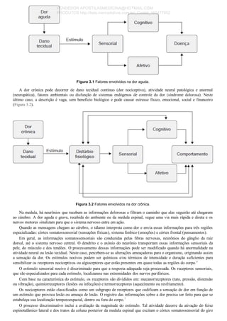 Figura 3.1 Fatores envolvidos na dor aguda.
A  dor  crônica  pode  decorrer  de  dano  tecidual  contínuo  (dor  nociceptiva),  atividade  neural  patológica  e  anormal
(neuropática),  fatores  ambientais  ou  disfunção  de  sistemas  endógenos  de  controle  da  dor  (síndrome  dolorosa).  Neste
último  caso,  a  descrição  é  vaga,  sem  benefício  biológico  e  pode  causar  estresse  físico,  emocional,  social  e  financeiro
(Figura 3.2).
Figura 3.2 Fatores envolvidos na dor crônica.
Na medula, há neurônios que recebem as informações dolorosas e filtram o caminho que elas seguirão até chegarem
ao cérebro. A dor aguda e grave, recebida do ambiente ou da medula espinal, segue uma via mais rápida e direta e os
nervos motores sinalizam para que o sistema nervoso entre em ação.
Quando as mensagens chegam ao cérebro, o tálamo interpreta como dor e envia essas informações para três regiões
especializadas: córtex somatossensorial (sensações físicas), sistema límbico (emoções) e córtex frontal (pensamentos).
Em  geral,  as  informações  somatossensoriais  são  conduzidas  pelas  fibras  nervosas,  neurônios  do  gânglio  da  raiz
dorsal, até o sistema nervoso central. O dendrito e o axônio do neurônio transportam essas informações sensoriais da
pele, do músculo e dos tendões. O processamento dessas informações pode ser modificado quando há anormalidade na
atividade neural ou lesão tecidual. Neste caso, percebem­se as alterações ameaçadoras para o organismo, originando assim
a  sensação  da  dor.  Os  estímulos  nocivos  podem  ser  químicos  e/ou  térmicos  de  intensidade  e  duração  suficientes  para
sensibilizar os receptores nociceptivos ou algioceptores que estão presentes em quase todas as regiões do corpo.4
O estímulo sensorial nocivo é discriminado para que a resposta adequada seja processada. Os receptores sensoriais,
que são especializados para cada estímulo, localizamse nas extremidades dos nervos periféricos.
Com base na característica do estímulo, os receptores são divididos em: mecanorreceptores (tato, pressão, distensão
ou vibração), quimiorreceptores (lesões ou infecções) e termorreceptores (aquecimento ou resfriamento).
Os nociceptores estão classificados como um subgrupo de receptores que codificam a sensação de dor em função de
um estímulo que provoca lesão ou ameaça de lesão. O registro das informações sobre a dor precisa ser feito para que se
estabeleça sua localização temporoespacial, dentro ou fora do corpo.7
O  processo  discriminativo  inclui  a  avaliação  da  magnitude  do  estímulo.  Tal  atividade  decorre  da  ativação  do  feixe
espinotalâmico lateral e dos tratos da coluna posterior da medula espinal que excitam o córtex somatossensorial do giro
VENDEDOR APOSTILASMEDICINA@HOTMAIL.COM
PRODUTOS http://lista.mercadolivre.com.br/_CustId_161477952
 