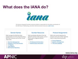 www.iana.org
What does the IANA do?
 