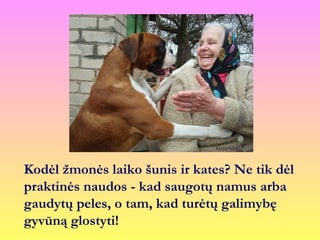 Kodėl žmonės laiko šunis ir kates? Ne tik dėl
praktinės naudos - kad saugotų namus arba
gaudytų peles, o tam, kad turėtų galimybę
gyvūną glostyti!
 