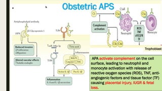 APS in daily practice 2022.pdf