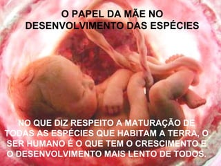 O PAPEL DA MÃE NO
DESENVOLVIMENTO DAS ESPÉCIES
NO QUE DIZ RESPEITO A MATURAÇÃO DE
TODAS AS ESPÉCIES QUE HABITAM A TERRA, O
SER HUMANO É O QUE TEM O CRESCIMENTO E
O DESENVOLVIMENTO MAIS LENTO DE TODOS.
 