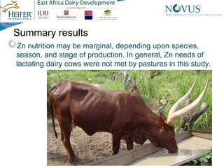 Nutrient composition of pastures in Kayunga District, Uganda: Implications for seasonal supplementation in grazing ruminants