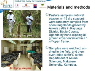Nutrient composition of pastures in Kayunga District, Uganda: Implications for seasonal supplementation in grazing ruminants