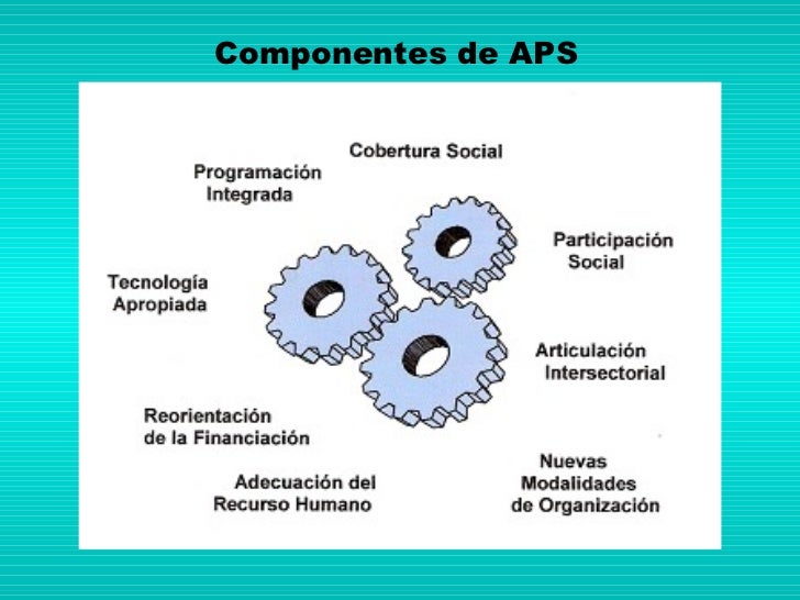 APS Cb808 Tea Box : : Commercio, Industria E Scienza