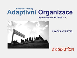 1
Budování a rozvoj
Adaptivní Organizace
Rychlá diagnostika BAOP, a.s.
PŘÍPADOVÁ STUDIE
(Ukázka výsledku diagnostiky)
 