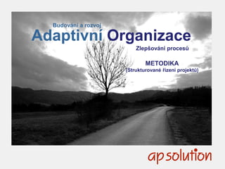 1
Budování a rozvoj
Adaptivní Organizace
Zlepšování procesů
METODIKA
(Strukturované řízení projektů
a řešení problémů)
 