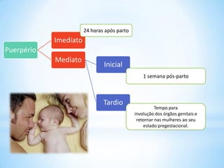 Puerpério
Imediato
Mediato
Inicial
Tardio
24 horas após parto
1 semana pós-parto
Tempo para
involução dos órgãos genitais e
retornar nas mulheres ao seu
estado pregestacional.
 