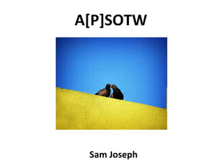A[P]SOTW
Sam Joseph
 