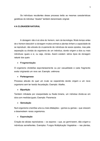 5 
Os indivíduos resultantes desse processo terão as mesmas características 
genéticas do individuo “doador” também denominado original. 
4 A CLONAGEM NATURAL 
A clonagem não é só obra do homem, nem da tecnologia. Muito tempo antes 
de o homem descobrir a clonagem muitos animais e plantas tinham a capacidade de 
se reproduzir, não através do cruzamento de indivíduos de sexos opostos, mas pela 
separação ou divisão do organismo de um individuo, dando origem a dois ou mais 
indivíduos iguais a si, ou seja, clones. Assim existem vários tipos de clonagem 
natural dos quais 
 Fragmentação 
O organismo divide0se espontaneamente ou por casualidade e cada fragmento 
evolui originando um novo ser. Exemplo: anêmona 
 Parteogenese 
Processo através do qual um óvulo se expandindo dando origem a um novo 
organismo sem ter havido fecundação. Exemplo: Abelha. 
 Bipartição 
Também intitulada por cissiparidade ou fissão binaria, um individuo divide-se em 
dois com medidas iguais. Exemplo: Paramecia 
 Gemulação 
Num organismo criam0se uma ou mais dilatações – gomos ou gemas – que crescem 
e desenvolvem novos organismos. 
 Esporulação 
Criação de células reprodutoras – os esporos – que, ao germinarem, dão origem a 
indivíduos semelhantes. Exemplos: Fungos Multiplicação Vegetativa – nas plantas, 
 