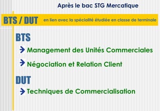 Après le bac STG Mercatique

BTS / DUT   en lien avec la spécialité étudiée en classe de terminale



   BTS
      Management des Unités Commerciales

      Négociation et Relation Client

   DUT
      Techniques de Commercialisation
 