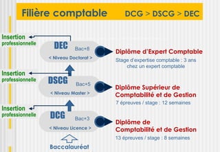 Filière comptable                   DCG > DSCG > DEC

Insertion   o


professionnelle
                    DEC      Bac+8
                                        Diplôme d’Expert Comptable
                  < Niveau Doctorat >
                                        Stage d’expertise comptable : 3 ans
                                            chez un expert comptable
Insertion   o


professionnelle   DSCG       Bac+5
                                        Diplôme Supérieur de
                  < Niveau Master >
                                        Comptabilité et de Gestion
                                        7 épreuves / stage : 12 semaines
Insertion   o


professionnelle   DCG        Bac+3
                                        Diplôme de
                  < Niveau Licence >    Comptabilité et de Gestion
                                        13 épreuves / stage : 8 semaines
                  Baccalauréat
 