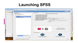 Launching SPSS
 
