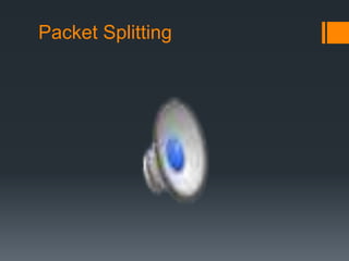 Packet Splitting
 