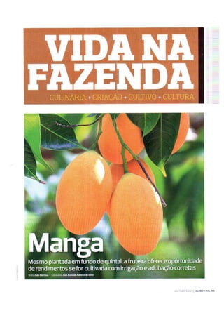 Como plantar - Revista Globo Rural