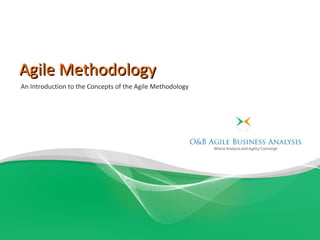 Agile Methodology
An Introduction to the Concepts of the Agile Methodology
 