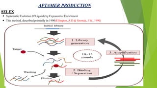 APTAMER PRODUCTION
SELEX
 Systematic Evolution 0f Ligands by Exponential Enrichment
 This method, described primarily in 1990(Ellington, A.D & Szostak, J.W., 1990)
 