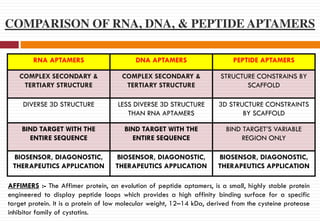 COMPARISON OF RNA, DNA, & PEPTIDE APTAMERS
RNA APTAMERS DNA APTAMERS PEPTIDE APTAMERS
COMPLEX SECONDARY &
TERTIARY STRUCTURE
COMPLEX SECONDARY &
TERTIARY STRUCTURE
STRUCTURE CONSTRAINS BY
SCAFFOLD
DIVERSE 3D STRUCTURE LESS DIVERSE 3D STRUCTURE
THAN RNA APTAMERS
3D STRUCTURE CONSTRAINTS
BY SCAFFOLD
BIND TARGET WITH THE
ENTIRE SEQUENCE
BIND TARGET WITH THE
ENTIRE SEQUENCE
BIND TARGET’S VARIABLE
REGION ONLY
BIOSENSOR, DIAGONOSTIC,
THERAPEUTICS APPLICATION
BIOSENSOR, DIAGONOSTIC,
THERAPEUTICS APPLICATION
BIOSENSOR, DIAGONOSTIC,
THERAPEUTICS APPLICATION
AFFIMERS :- The Affimer protein, an evolution of peptide aptamers, is a small, highly stable protein
engineered to display peptide loops which provides a high affinity binding surface for a specific
target protein. It is a protein of low molecular weight, 12–14 kDa, derived from the cysteine protease
inhibitor family of cystatins.
 