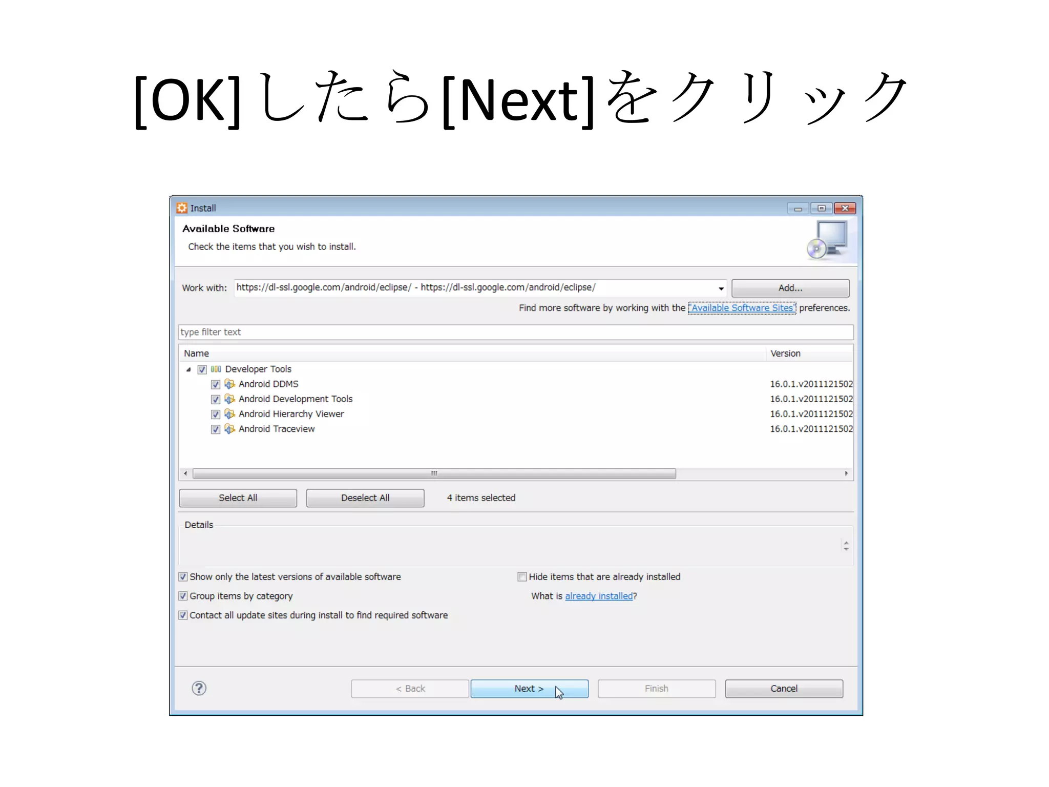 [OK]したら[Next]をクリック
 