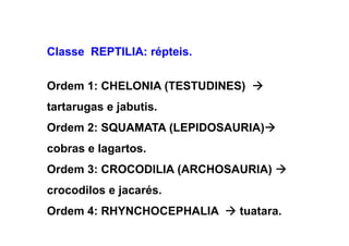 Classe REPTILIA: répteis.

Ordem 1: CHELONIA (TESTUDINES)
tartarugas e jabutis.
Ordem 2: SQUAMATA (LEPIDOSAURIA)
cobras e lagartos.
Ordem 3: CROCODILIA (ARCHOSAURIA)
crocodilos e jacarés.
Ordem 4: RHYNCHOCEPHALIA     tuatara.
 