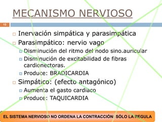 MECANISMO NERVIOSO
15


        Inervación simpática y parasimpática
        Parasimpático: nervio vago
          Disminución del ritmo del nodo sino.auricular
          Disminución de excitabilidad de fibras
           cardionectoras.
          Produce: BRADICARDIA

        Simpático: (efecto antagónico)
          Aumenta el gasto cardiaco
          Produce: TAQUICARDIA



                                  10/03/2012
EL SISTEMA NERVIOSO NO ORDENA LA CONTRACCIÓN: SÓLO LA REGULA
 