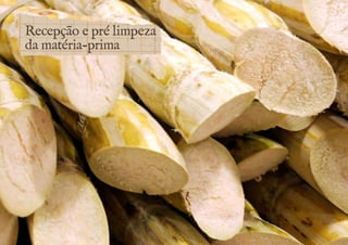 Recepção e pré limpeza 
da matéria-prima 
 