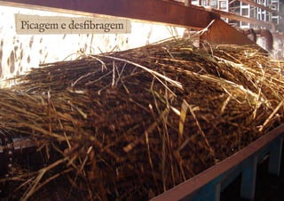 Picagem e desfibragem 
 