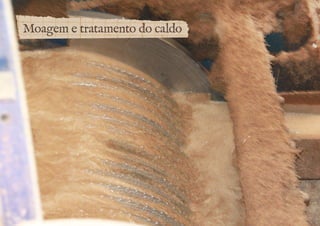 Moagem e tratamento do caldo 
 